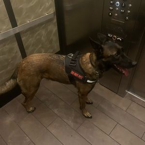 Meet your Posher, Anthony